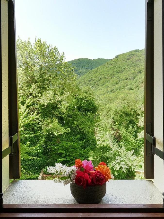 Amalthia Traditional Guesthouse Tsagarada Exterior foto